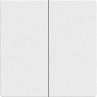 مفتاح مجوز خطين